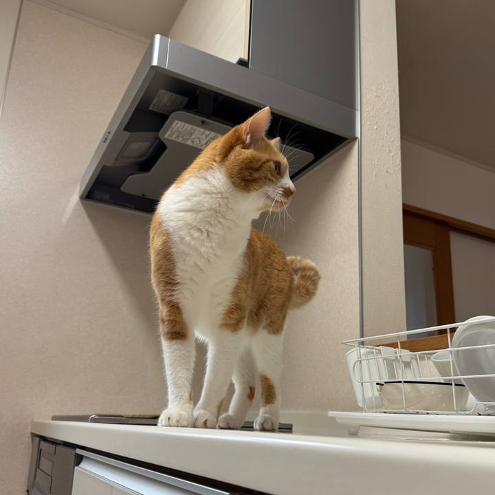 B603b14a 66a7 48b3 84b3 ae0aeecc1d67 1758416420113