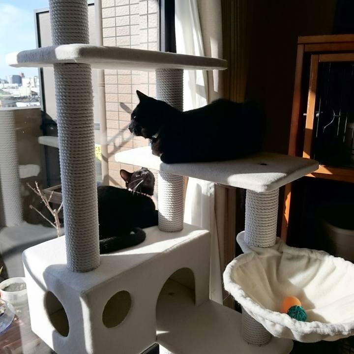 B603bef5 ee62 4104 9cb7 fca64e04e0ec 1515327669188