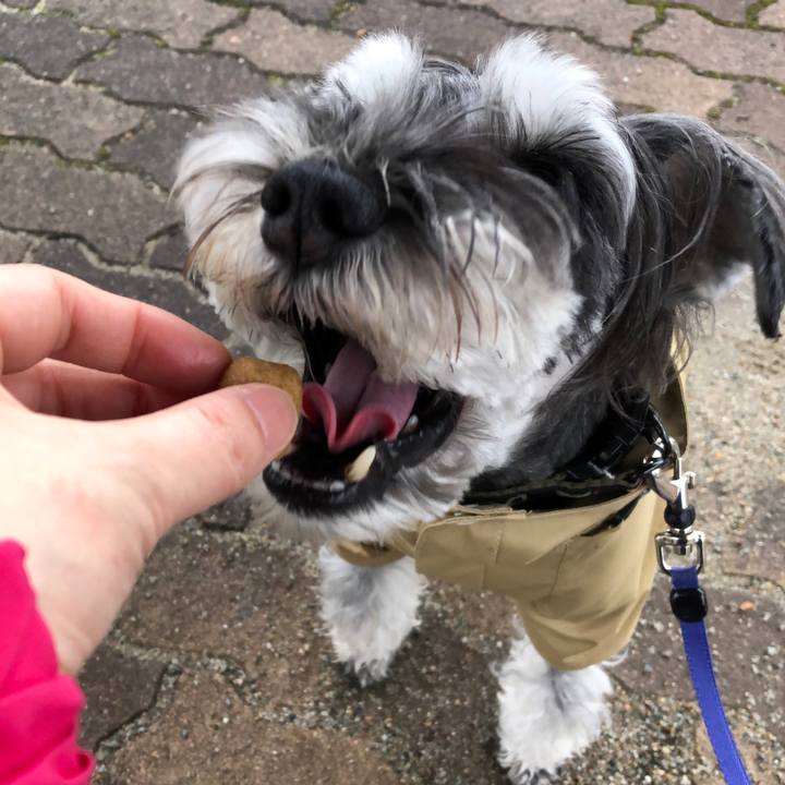 B603d59a f4f6 45a3 8986 038244662938 1708642937810