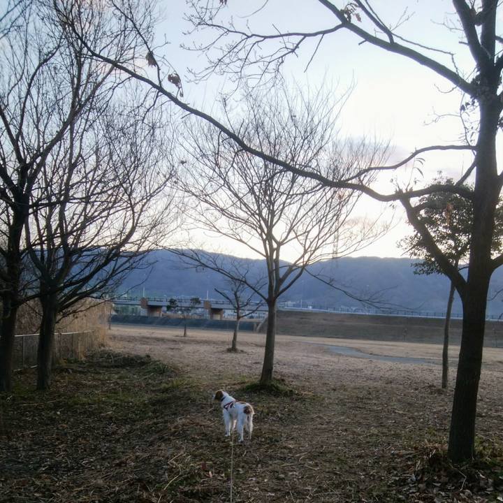 B603daa9 cf0c 41dd 995a cd26f6522f50 1548410286215