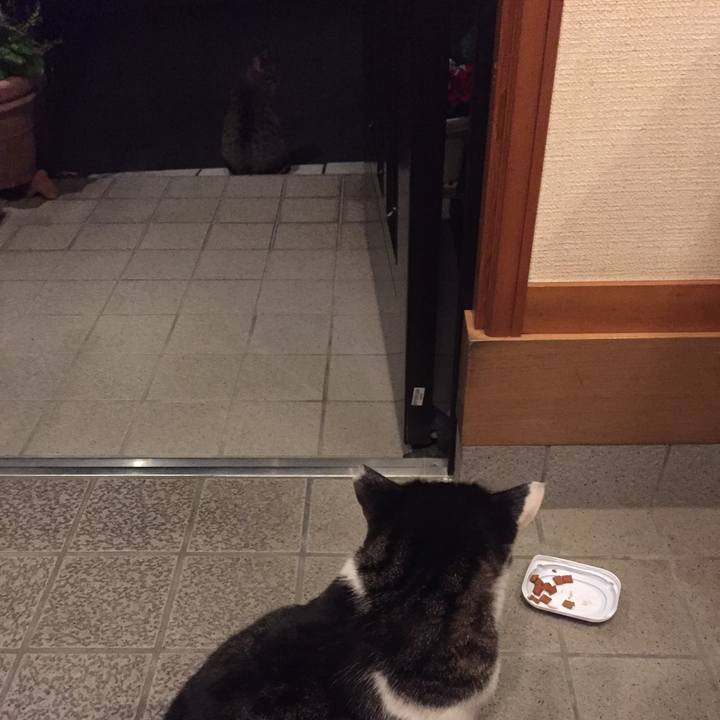 B60443dc 1f7b 4b38 a050 f6600961a84d 1510398851286