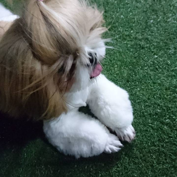 B60489ed 575d 4712 82a3 9b528e882bd9 1631576869709