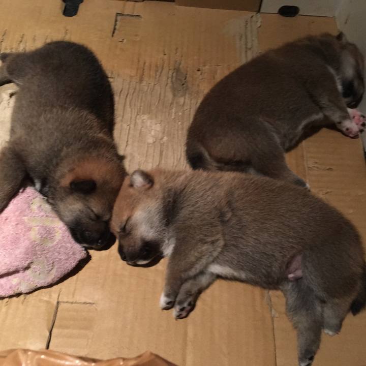 B604ed6e 7ea4 4d67 9e56 702056f29d9a 1533955228414