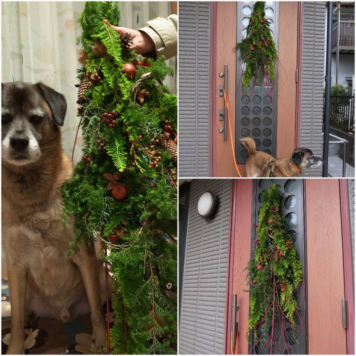 B604fd8c c88c 426d 9959 526f9606f6fe 1583491031745