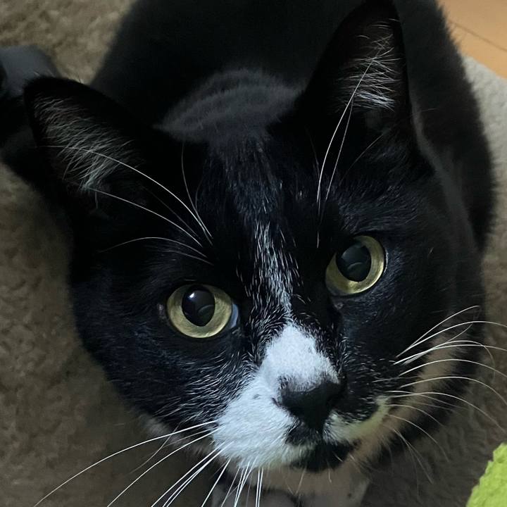 B60557ce 2276 4a47 b15c a7559193d664 1740203227329