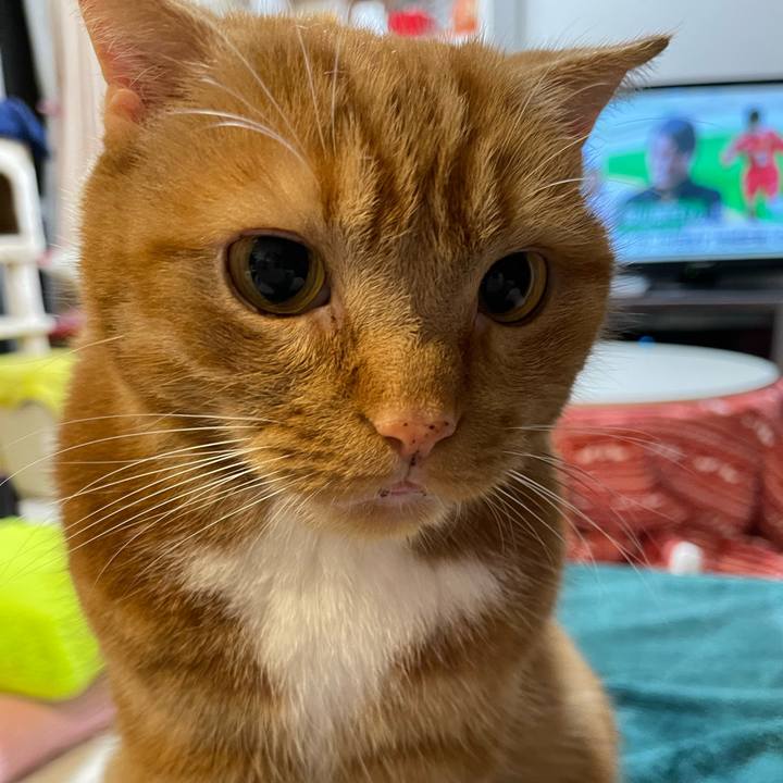 B6055a1e f5b4 4825 963f c0bd69b9600a 1652100951514