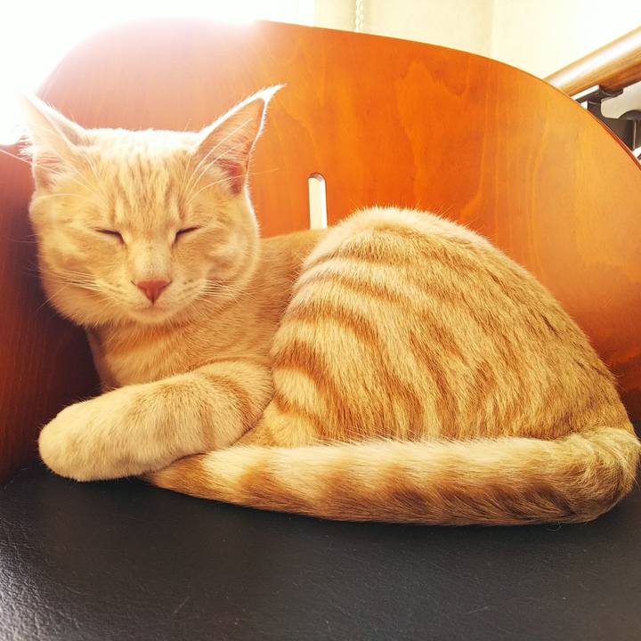 B605b807 1c2d 4bd1 b1e5 c6f0c65abc3f 1552806454509