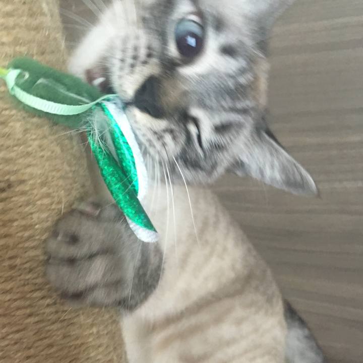 B605b9d4 bce0 4312 946d 346a9103d8df 1578967337465