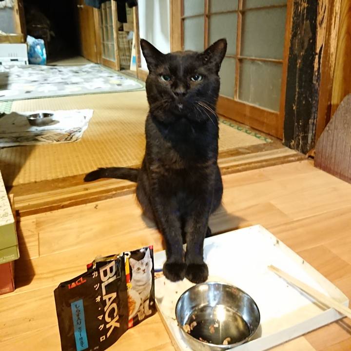 B605c144 0a23 48ab a272 81f5e9fa4642 1627390185114