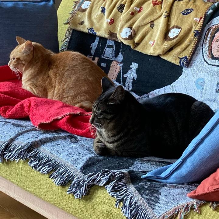 B605cb82 28fc 4f48 8c9d 9d743db9c5c0 1670111548739