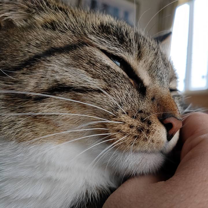 B605eff7 1cc3 4767 82d9 3e19d685ff0a 1670986118124