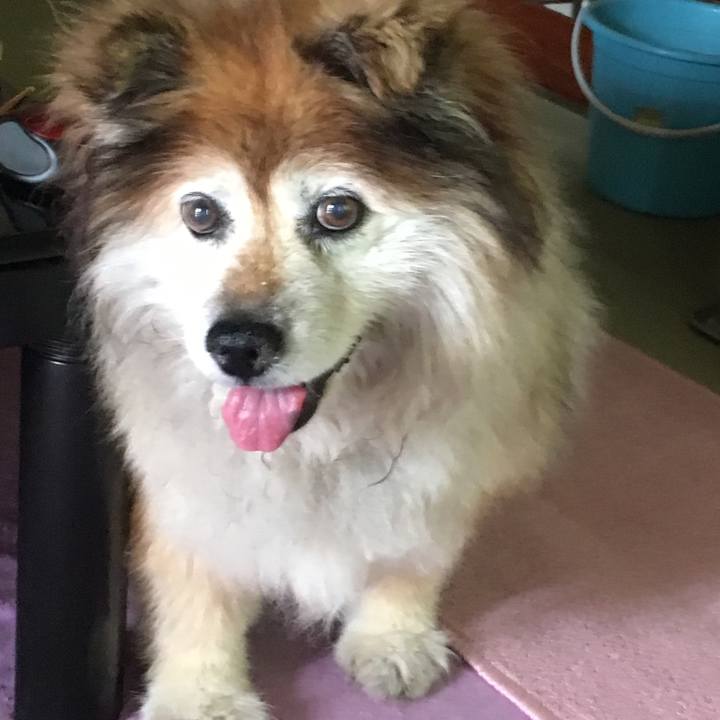 B60604cb fa56 4d05 9e96 b76cb1d11829 1571143415891