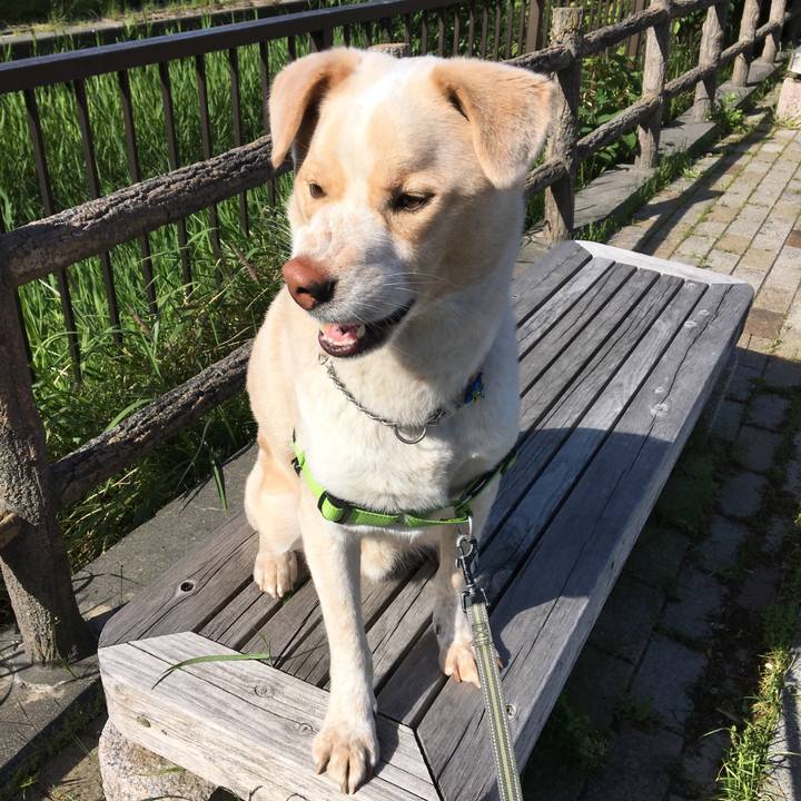 B6062383 767b 4fc4 b537 f7d939cf21a6 1525562923832