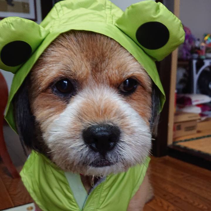 B60647c3 b7ca 42d2 8e50 c02622f75be8 1566897056107