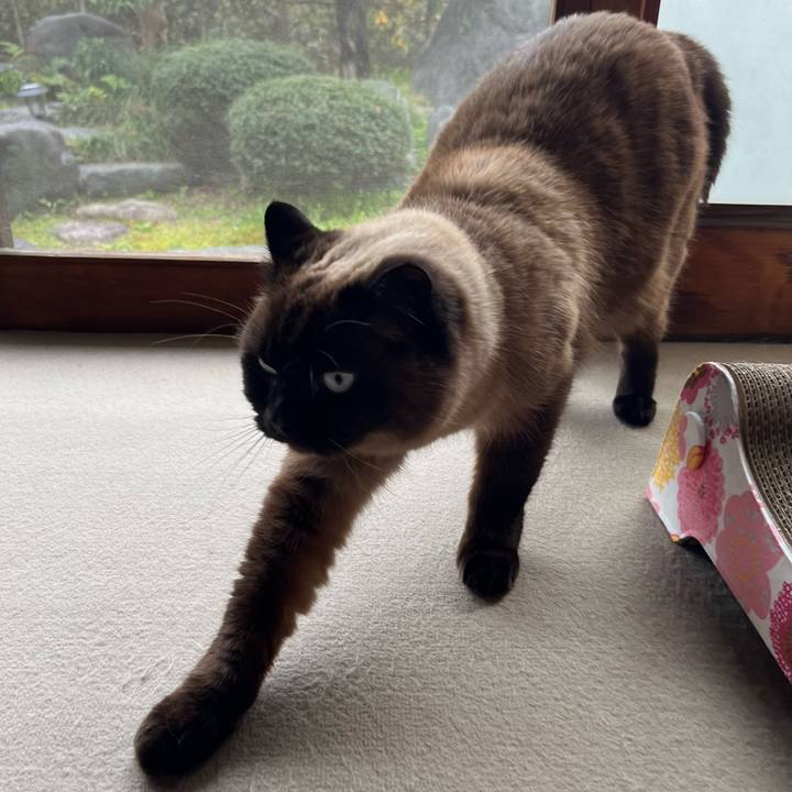 B60647d5 2bc5 4bb6 b2e2 efd8aa19811d 1711869897612