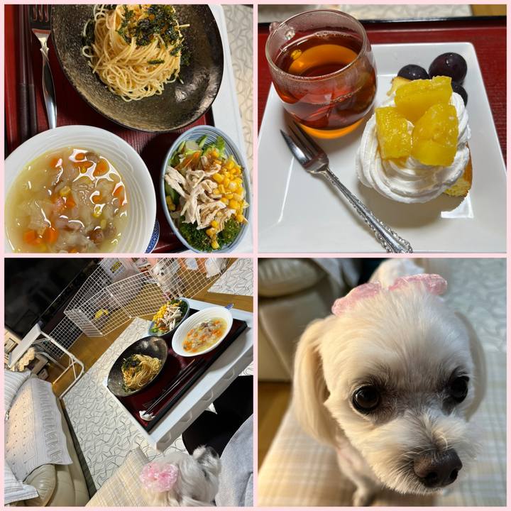 B6069f98 49d0 4fd7 ad0e fd69966c3390 1697372480711