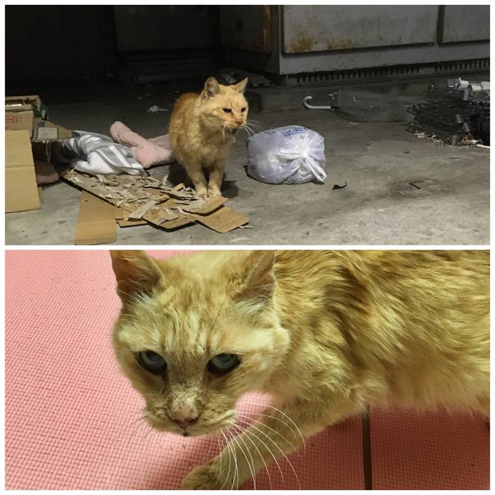 B606b405 e465 40e2 a023 227f7b43fc76 1609054382824