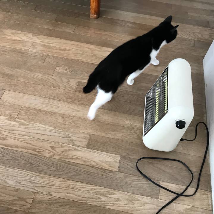 B606bd66 4ff1 4d44 bbb5 ebf1f50eb6eb 1514635842722