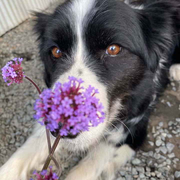 B608047b 1818 41b8 aeba 99772fe6f67e 1620089752120