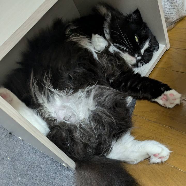 B6080e4f b2dc 45c7 8479 117b5f3b47f2 1721951975021