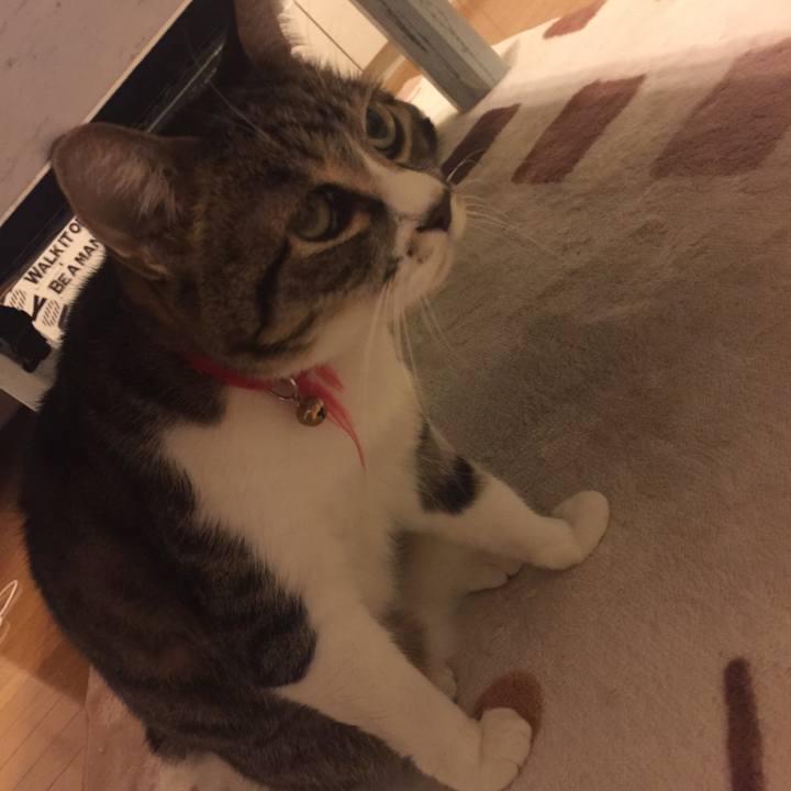 B60844b1 e354 43f2 a6f6 a6e1d900a7a2 1556119029672