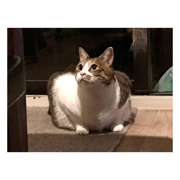 B6088443 f2ab 43b1 9021 71aa4977a54d 1638409975303