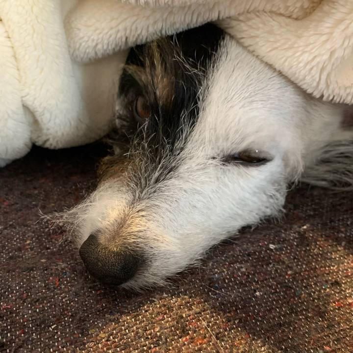 B6089e46 c7fb 4bb7 824f 47199e80d5b2 1670208041629