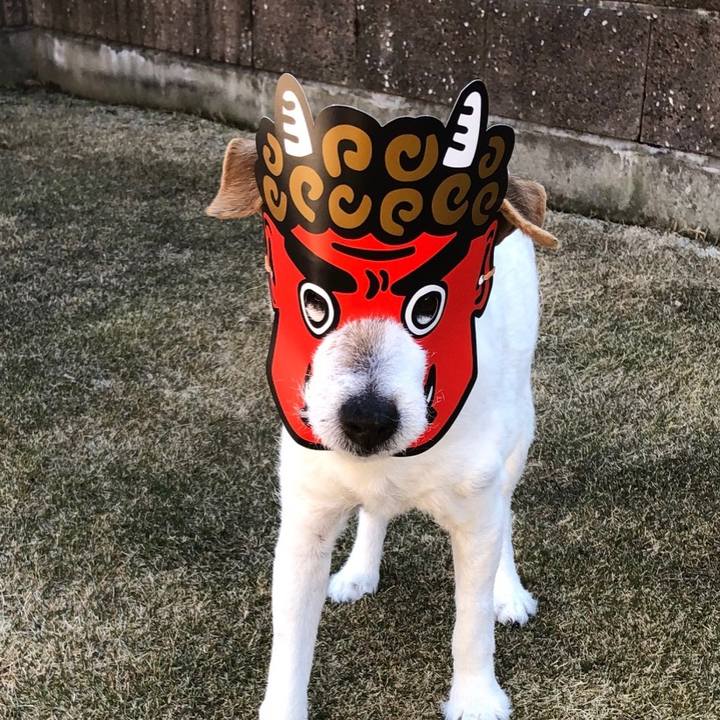 B608d4ed 5c28 4cdd b0e2 92e4fc342696 1675404636910