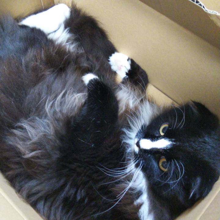 B608daa5 9a3a 4397 aee4 61fca6d9edd3 1655634693266