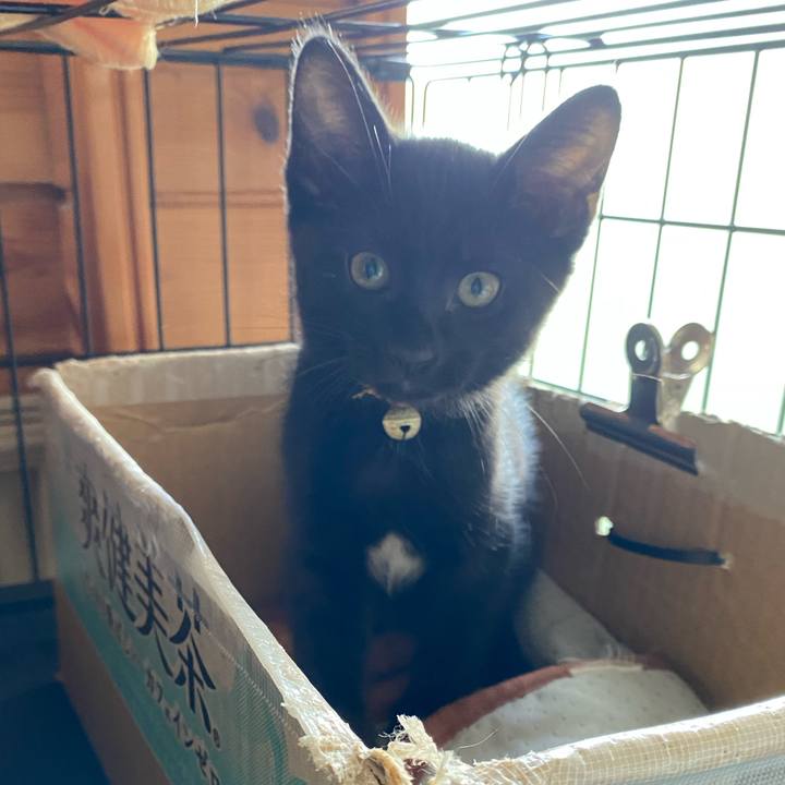 B608e1f2 9ac5 4022 aaf5 00b7eaddff0b 1752297603726