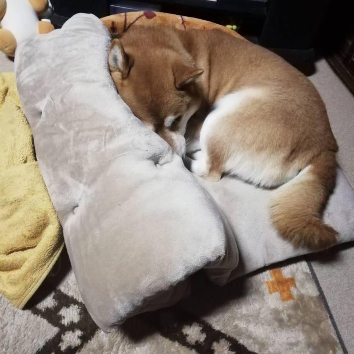 B608ee75 18e7 4ac1 ae77 99ae9fddfb65 1612533300784