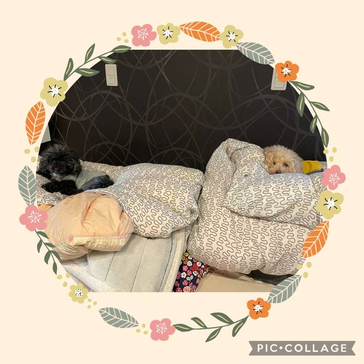 B609031b 4b64 41b7 a908 79e2926a7609 1636689419292