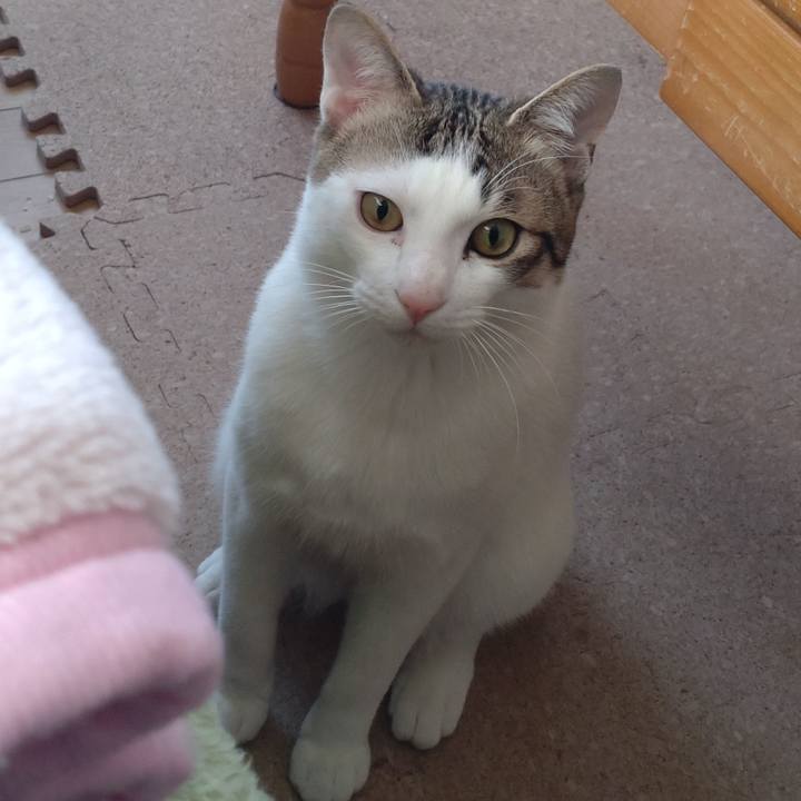 B6092a24 b892 4ab7 80d7 cfb8edbec029 1651287425518