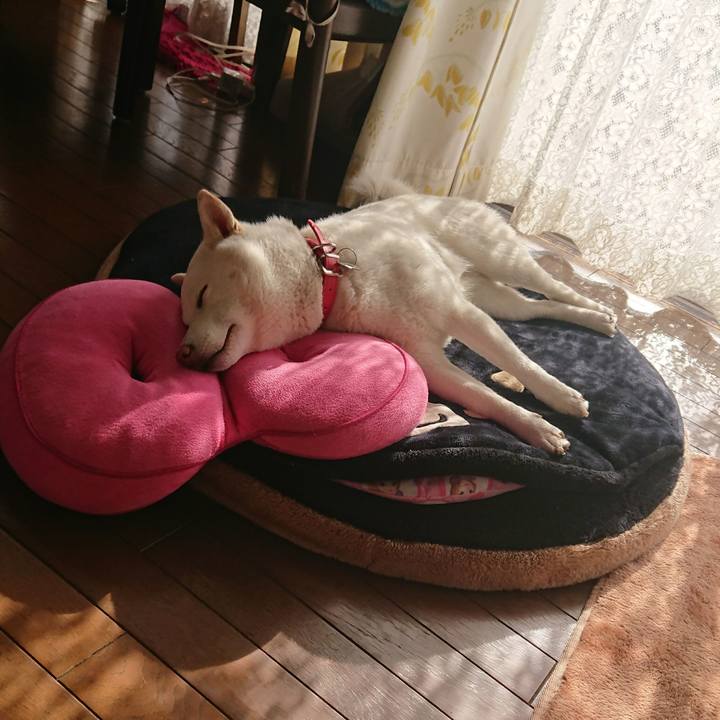 B60988a9 4494 4e06 ba9b e75c74183d03 1516240152118