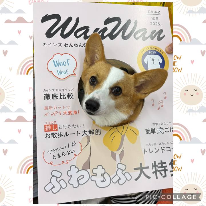 B609b140 43e8 473f 80f3 8fdac29ce6d2 1761464887569