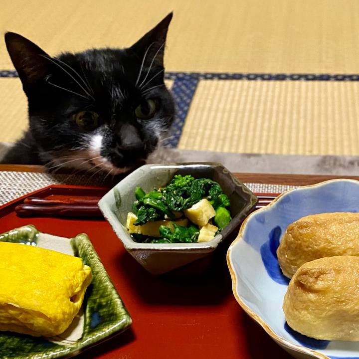 B609d6ae 9030 4966 92ff 37f4a7795a50 1612346017644