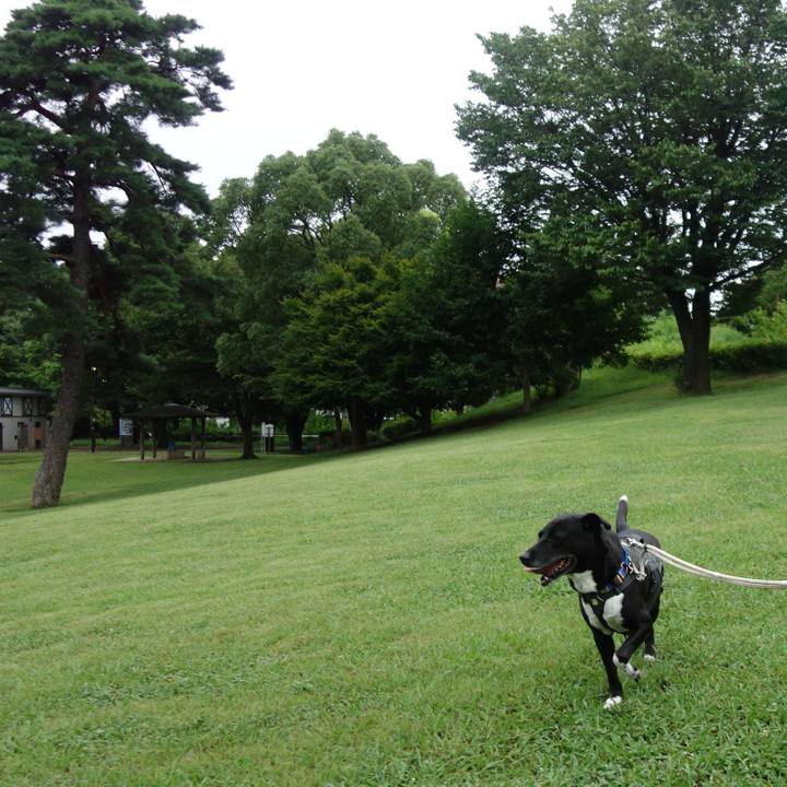 B60a084e 9382 47b1 8688 e9aaaca0ba25 1659570071622