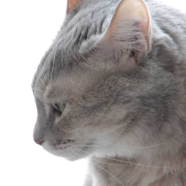 B60a2083 5f88 4dbd b46a 98fe2ada3805 1636883856060