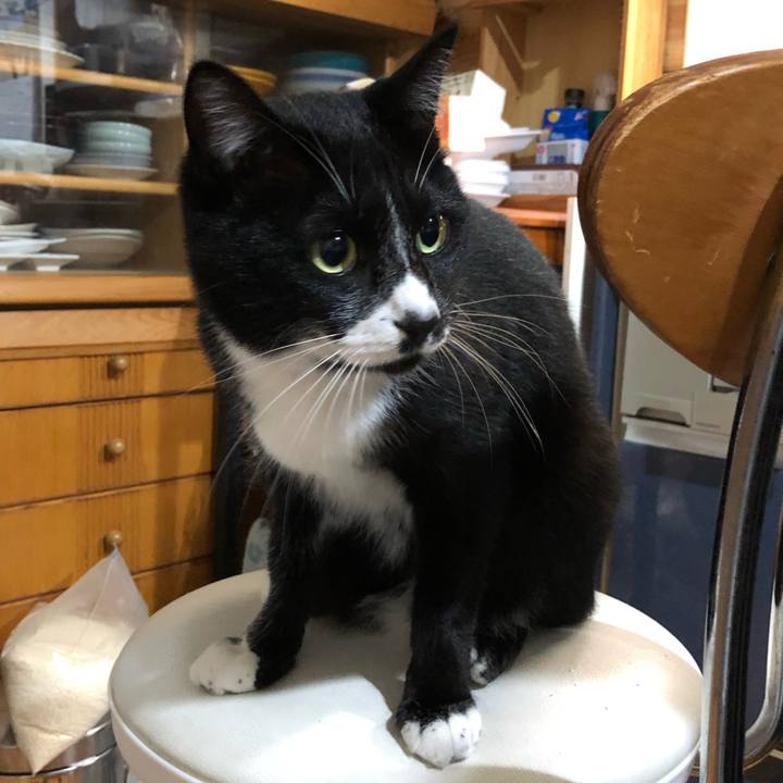 B60a3e5d c8fc 4ddd b19d 07d66d06f010 1575430985674