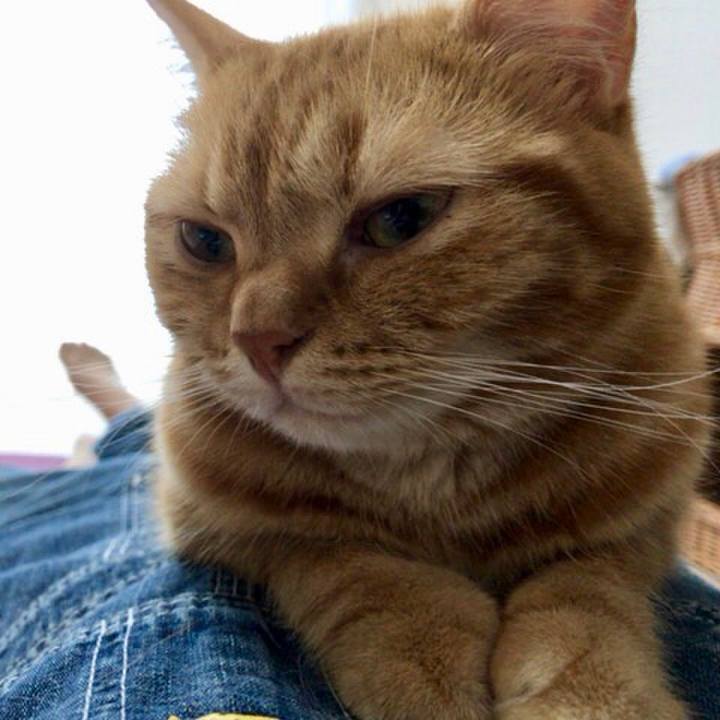 B60aa8e1 a632 4886 8395 069ac548badb 1536379380196