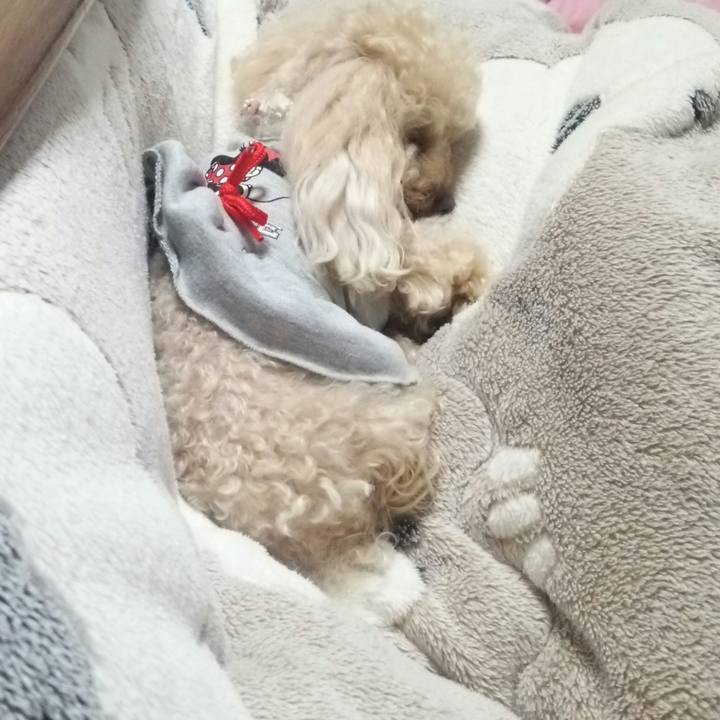 B60adb38 06ec 4415 9bac bb622366ab89 1521897025522