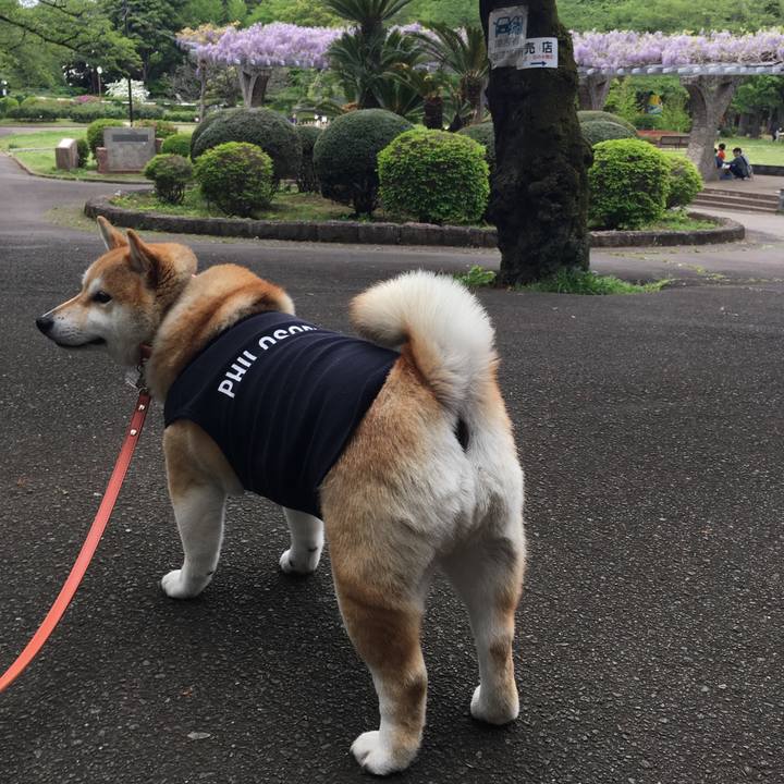 B60b0311 96e0 4b3f b481 35499dd7e1c9 1556519571428