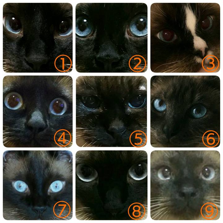 B60b1895 e44d 4606 a698 69a8c579ef75 1551519918715