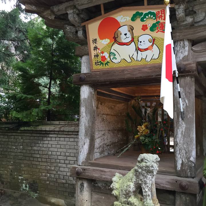 B60b1936 a899 4a0b 92cf 02b3cec8b11e 1515388836618