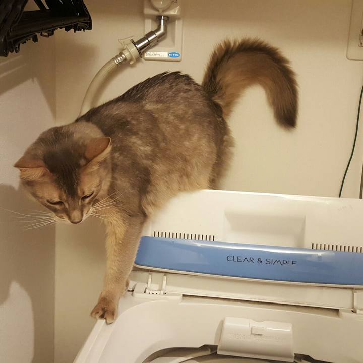 B60b3a59 136a 405f a09f 68eadc7f4177 1553607352576