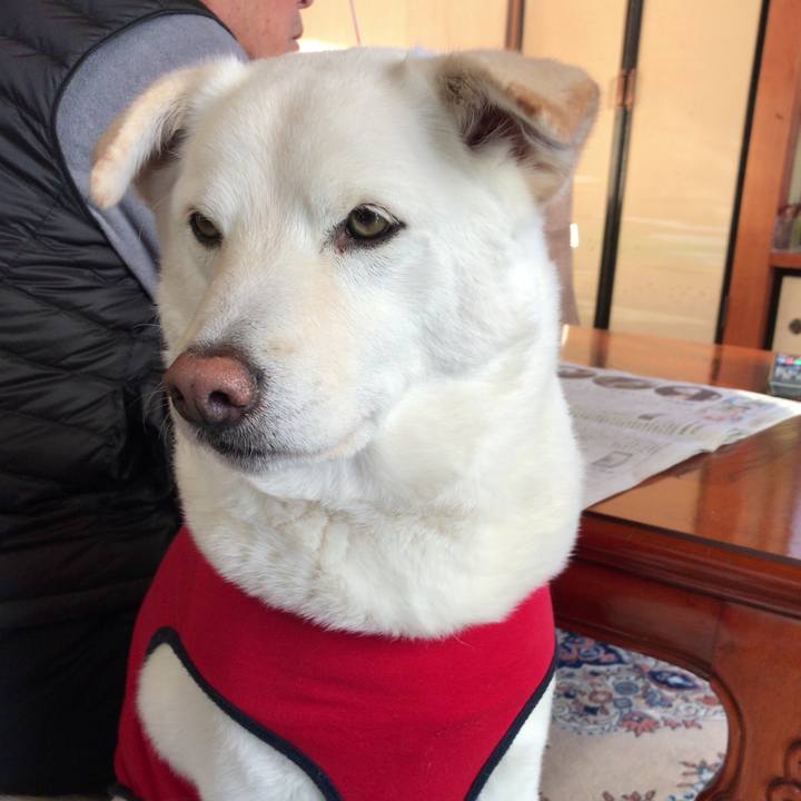 B60b68bb 3263 4d61 9865 a429e3568715 1513733645298