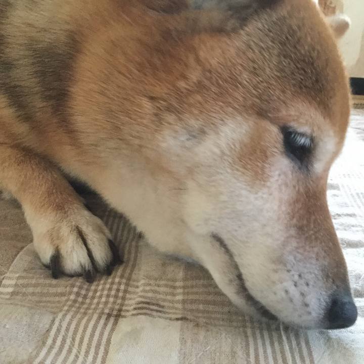 B60bc30a 2fe6 4130 8829 305ab39c93af 1560728106571