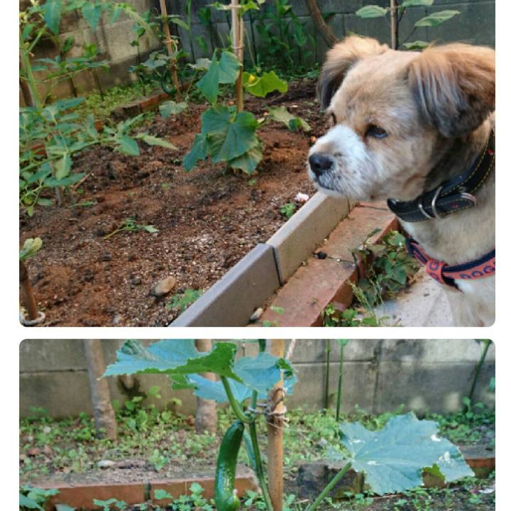 B60bedd0 2e4a 41d5 be3a 1e35dc5e9093 1525990849075