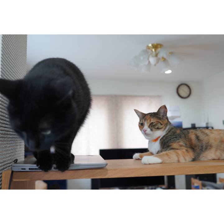 B60c0df2 22c2 48f3 85e0 120ea5a04875 1592367466776