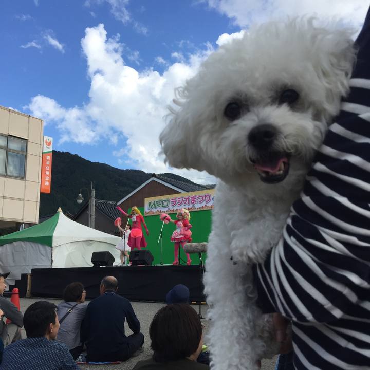 B60c37d2 d583 47bf bc68 3bd355bb3d55 1539494889055